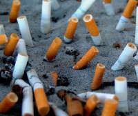 cigarette butts