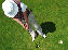 golfer